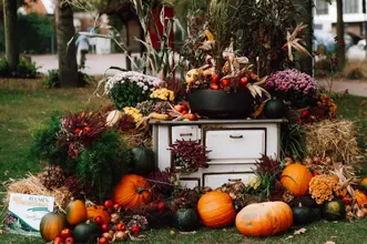 herbstpartie-quer-122 