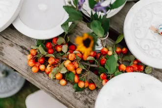 herbstpartie-quer-123 