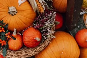herbstpartie-quer-152 