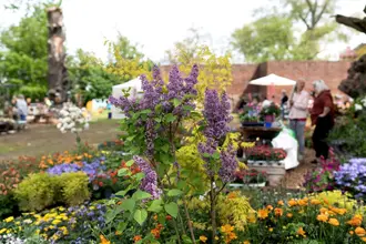 herbstpartie-visbeck-q9 