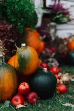 herbstpartie258 